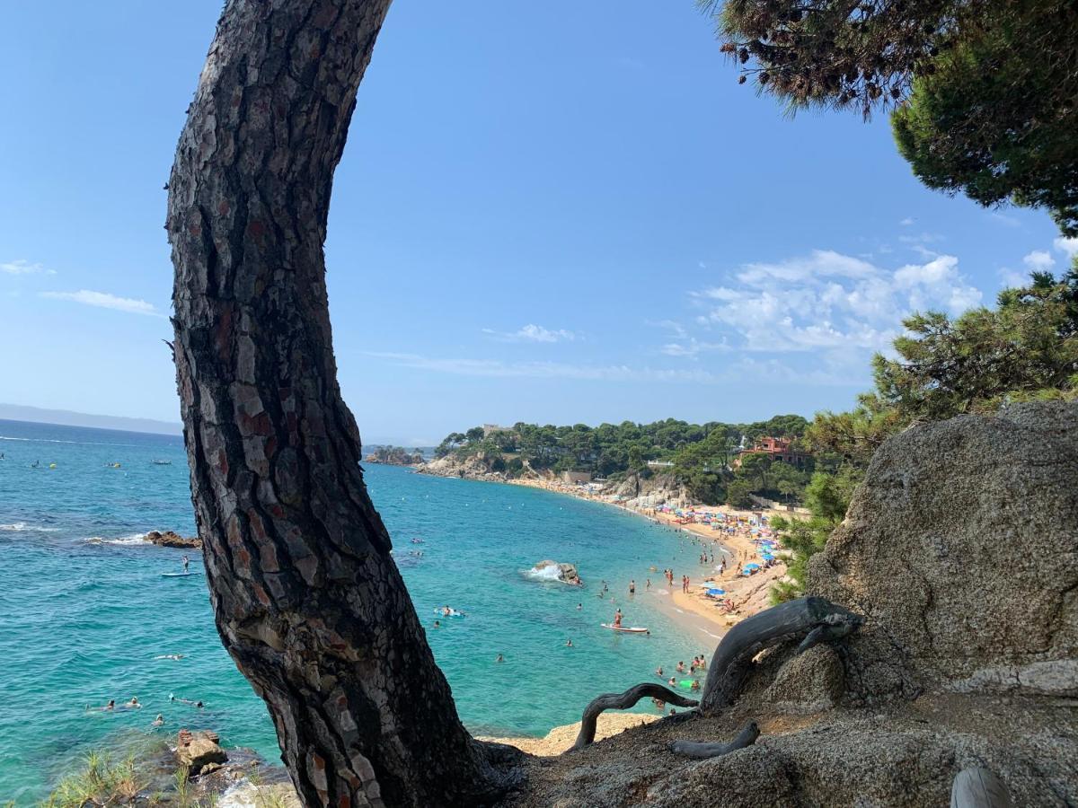 Antonella II Daire Platja d'Aro Dış mekan fotoğraf